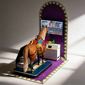 Children's Indoor Playground | Mechanical Horse Ride