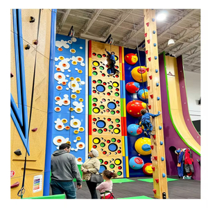 wholesale Indoor Climbing Wall warehouse