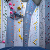 wholesale Indoor Climbing Wall warehouse