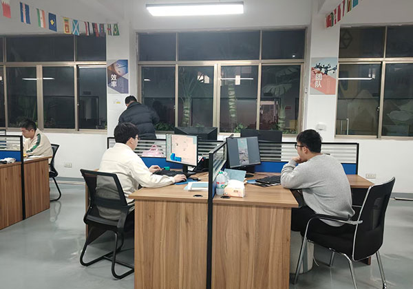 Professional-Service-Team