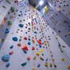 wholesale Indoor Climbing Wall warehouse