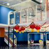 wholesale Modern Indoor Playground Equipment quotation