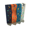 ODM Kids Rock Climbing Wall manufactuere